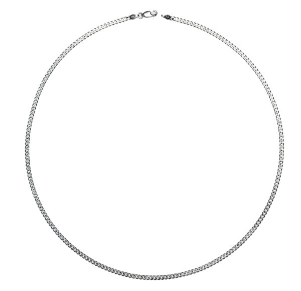 Classic Curb Chain Necklace